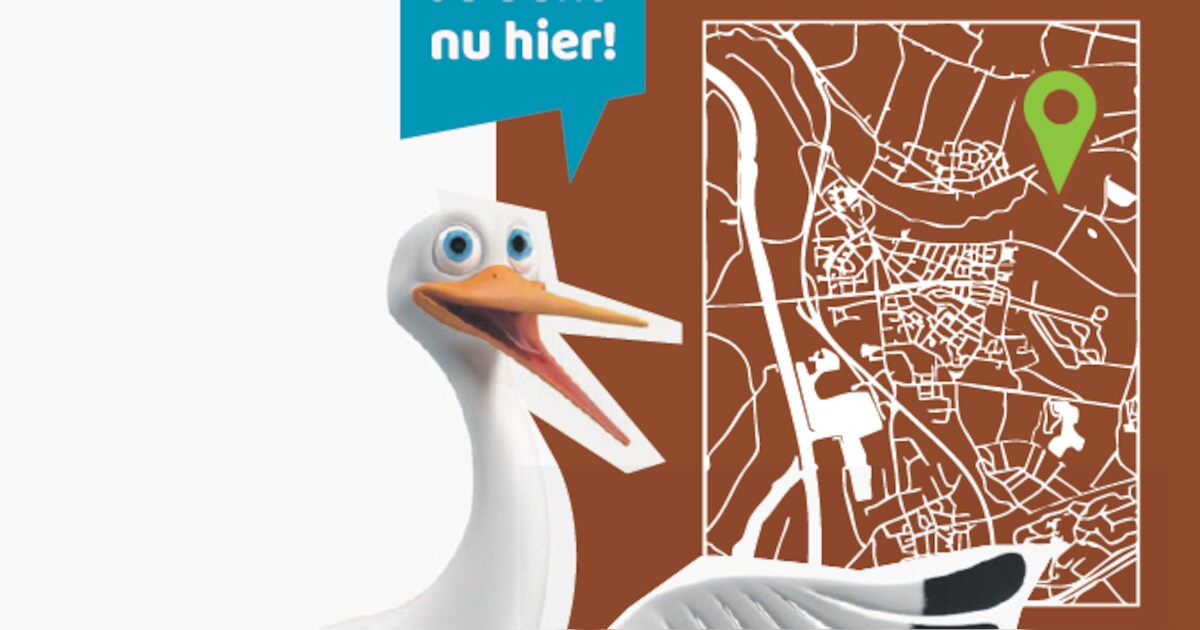 Gast Center Parcs verandert, ooievaar Okke moet ze het park uit lokken