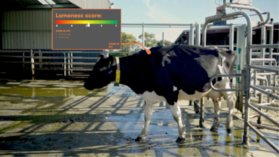 ‘Uitvindersfabriek’ Nedap bereikt nieuwe mijlpaal met 40 procent omzet uit abonnementen