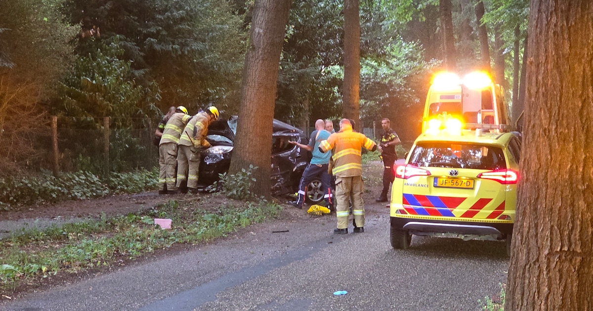 Automobilist overleden door botsing tegen boom in buitengebied Liempde.