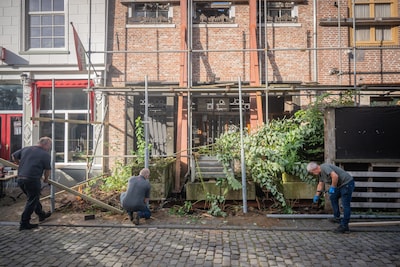 Wilde bomen komen tevoorschijn achter rotte schutting Palazzo nu Sinterklaas in aantocht is