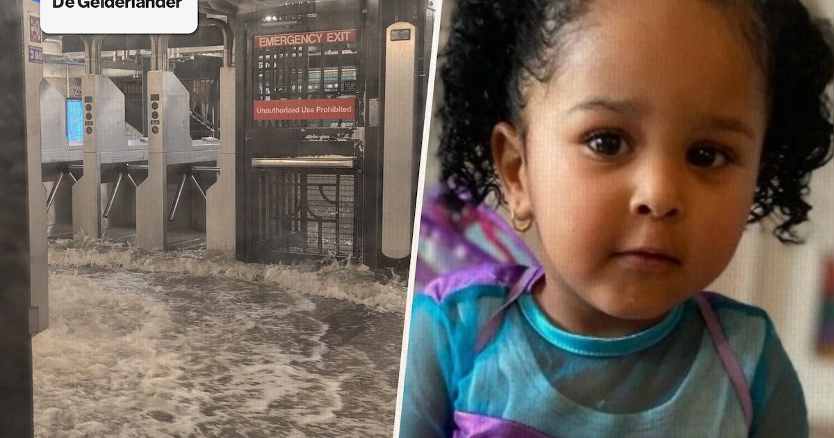 Nieuws van de dag | Overal tijdens de Vierdaagse hoor je dit scheldwoord • Zwaar ongeluk bij Puiflij