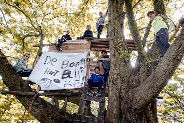 Hun boomhut moet weg en dat pikken deze kinderen niet: ‘Handen af van ...