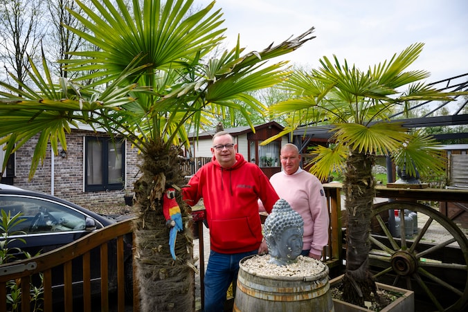 De bezem gaat door deze camping: ‘Met veertig palmbomen op een flatje ...