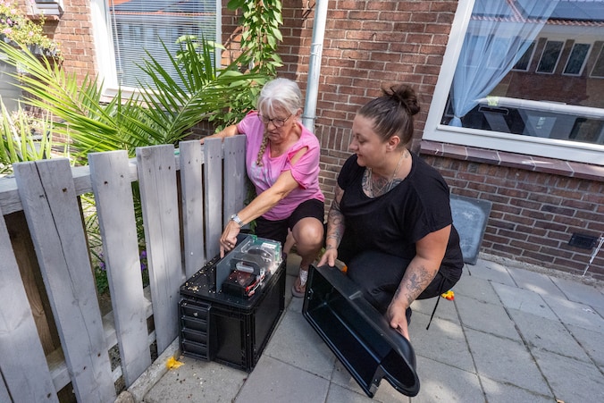 Rattenplaag in Arnhem stijgt naar 330 meldingen, gemeente treft nieuwe ...