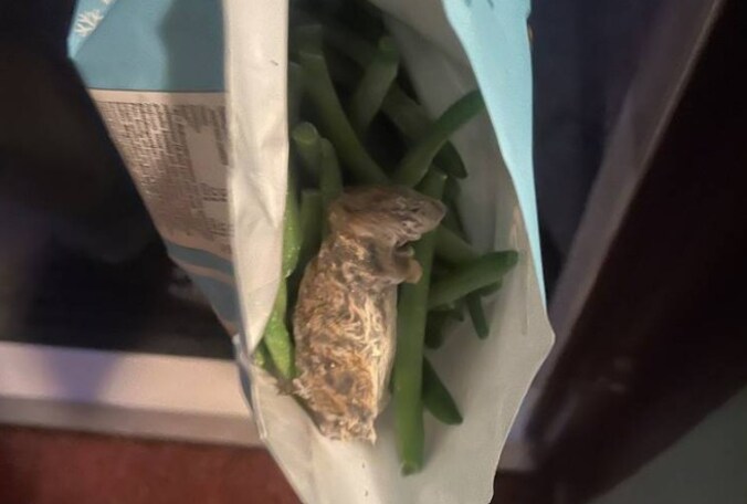Jumbo haalt diepvriessperziebonen uit winkels na vondst muizen | Nieuws ...