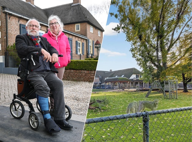 Henny heeft 12 honden en Clemens 3000 bijbels: hun gigantische huis gaat  viraal om deze mislukte Funda-foto | Regio | De Gelderlander.nl