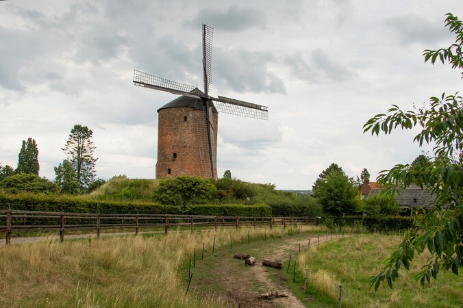 Montferlandwandeling start in Zeddam | Regio | De Gelderlander.nl