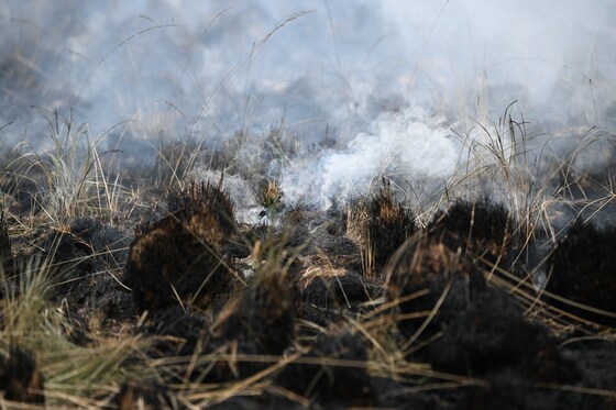 LIVE Extreem weer | Natuurbranden teisteren Griekenland: 39 branden in ...