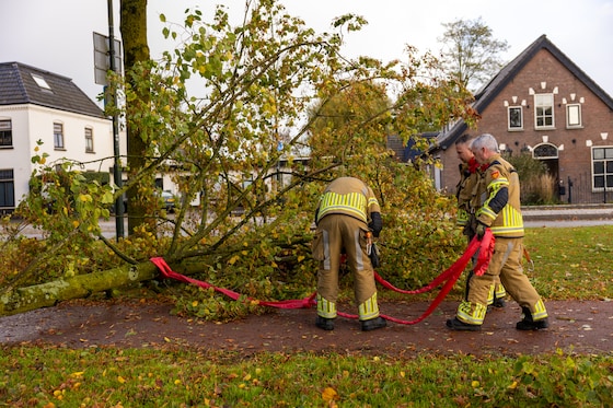 TERUGLEZEN Storm | Ook in VK grote problemen door storm Boelo: twee ...