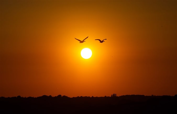 Hittegolf in september: nog nooit eerder gebeurd in Oost-Nederland ...