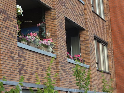 Lezing Groei&Bloei over balkons en terrassen in Zevenaar