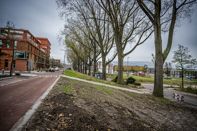 Vergeten Rotterdamse grond staat nog op naam van vrouw uit 1853, landelijke zoektocht naar erfgenaam
