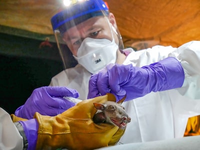 Nederlandse viroloog in VS aangeklaagd voor invoer mpox-virus uit Congo