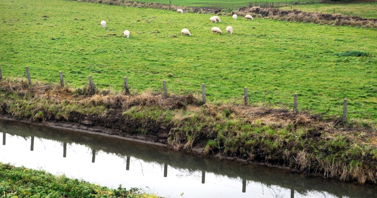 Hollandse sferen op eiland