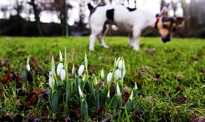 Voorlopig klaar met het winterse weer, eerste ‘lenteachtige’ taferelen dienen zich dinsdag al aan