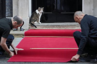 Wereldleiders vallen als een blok voor hem en nu heeft ook Jetten superster Larry the Cat ontmoet