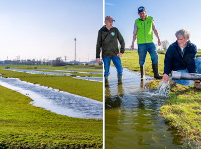Boer Eric zet zijn weiland van 5 hectare expres onder water: goed voor de natuur én zijn melkprijs