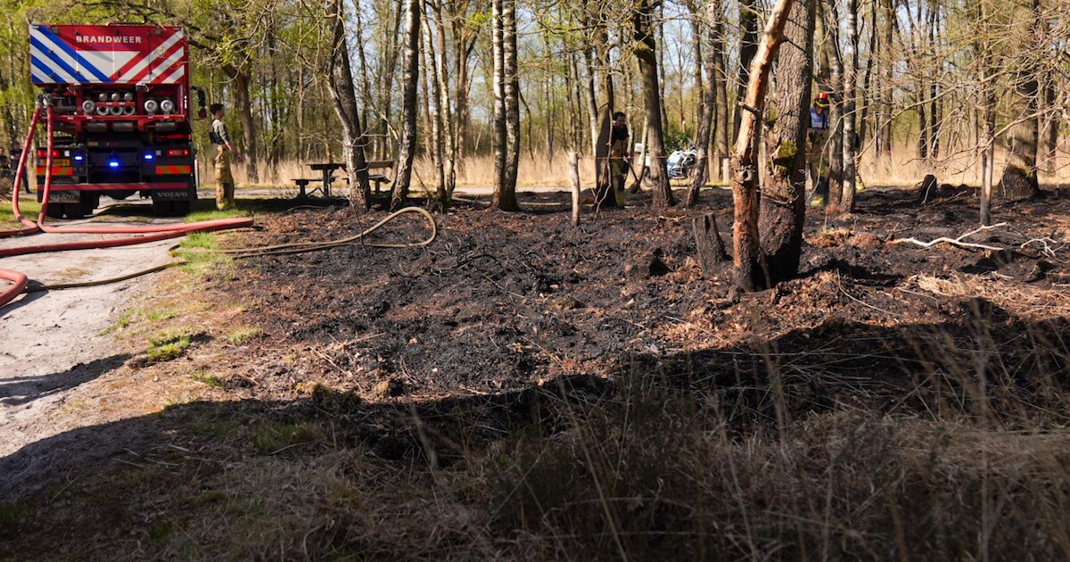 Brandweer slaat groot alarm om Peelbrand bij Helenaveen, maar krijgt het vuur snel onder controle