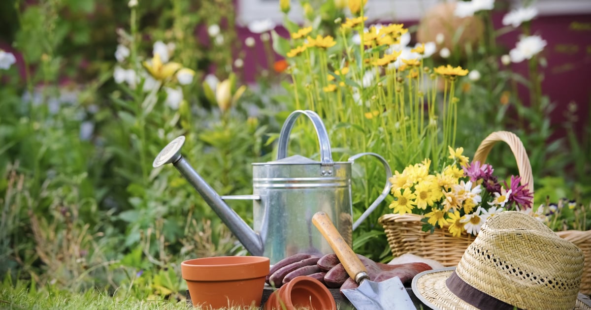 Lammetjes Markt in Aalten