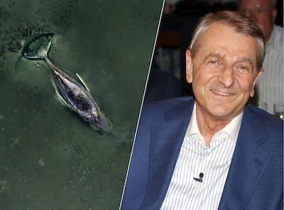 Mediamarkt-oprichter neemt geen genoegen met opgeven bultrug Timmy: ‘Ik wil niet toekijken’