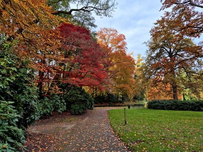 Dit is je reminder om vandaag nog in het Abraham Ledeboerpark te wandelen