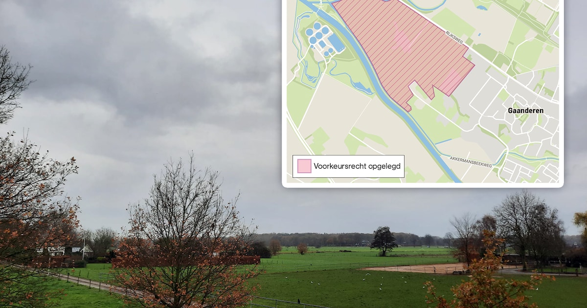 Boerin staat op punt melkveehouderij te verkopen, maar dan steekt de gemeente er een stokje voor