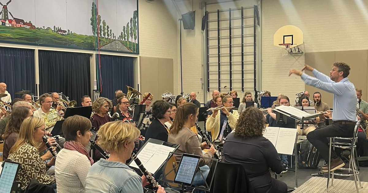 Regio-orkest Oost-Brabant speelt drie keer met gastartiesten