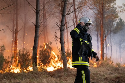 LIVE Natuurbranden | Franse overheid roept mensen op niet naar Bordeaux te gaan, meteorologen waarschuwen voor naderende 40 graden