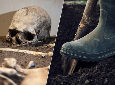 Honderden botfragmenten van volwassenen en kinderen gevonden in Duitse tuin: ‘Dit is geen misdrijf’