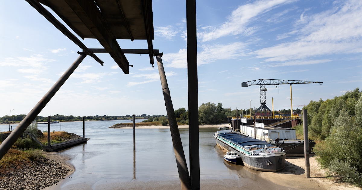 Rijn bij Tolkamer zakt snel richting de laagste waterstand ooit gemeten: ‘De bodem van de put is ber