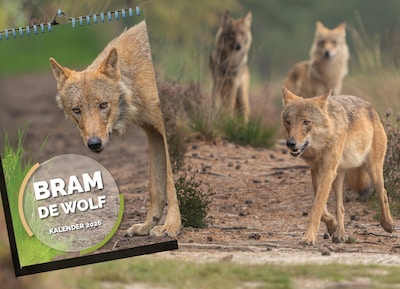 Wolf Bram vereeuwigd op... een kalender: ‘Om onze juridische kosten te dekken’