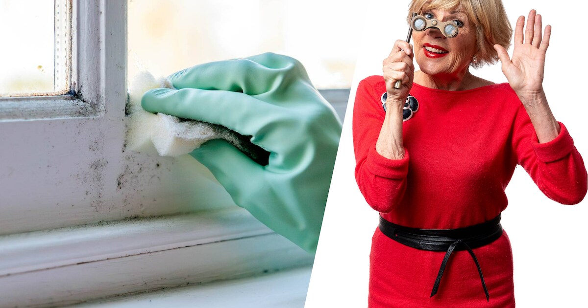 Warme Handdoekverwarmer, Snel Opwarmende Handdoekstomer Voor Gezichtsbehandelingen Kan 12 Mini Natte Handdoeken Bevatten Draagbare Mini Handdoekverwarmer Eu Stekker