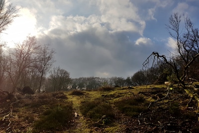 Historische wandeling op landgoed Biljoen in Velp