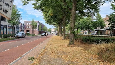 Blaadjes vallen van de bomen: dit doet gemeente Ede eraan