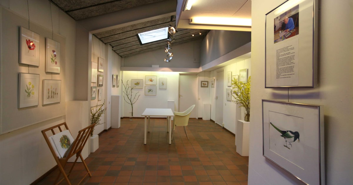 Aquarellen en keramiek bij galerie in Zetten
