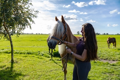 Na eerste besmetting groeit de onrust: ‘Hoe groot is de kans dat mijn paard eraan doodgaat?’