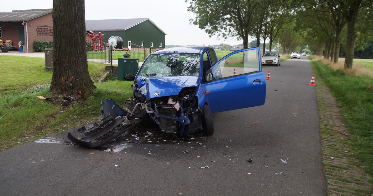 Zwaargewonde automobilist strompelt na frontale botsing tegen boom naar boerderij voor hulp