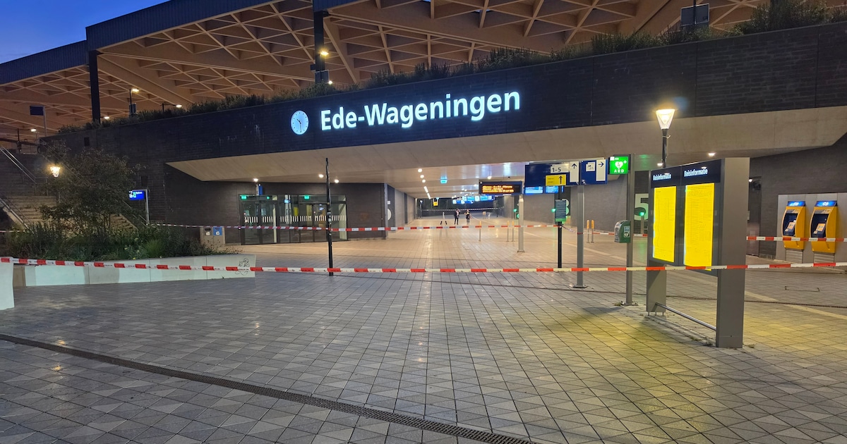 Station Ede-Wageningen afgesloten om verdachte koffers, dit bleek er aan de hand