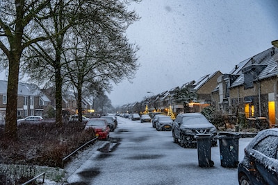 Winterse taferelen in Gelderland: zo ziet het er vandaag uit in de regio