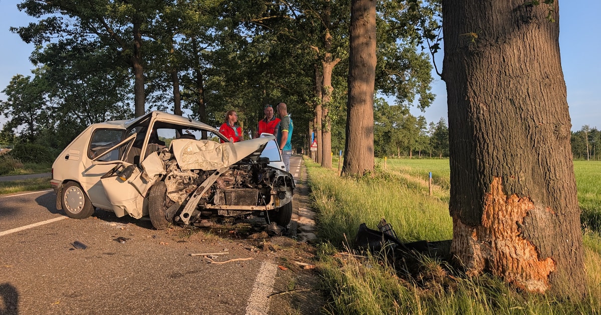 Auto verwoest na botsing tegen boom, bestuurder uit wagen gehaald