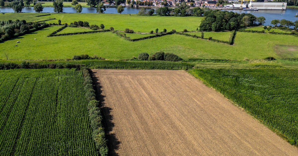 Angst in Nederasselt en Overasselt om ‘groene rivier’: ‘Ondernemers ...