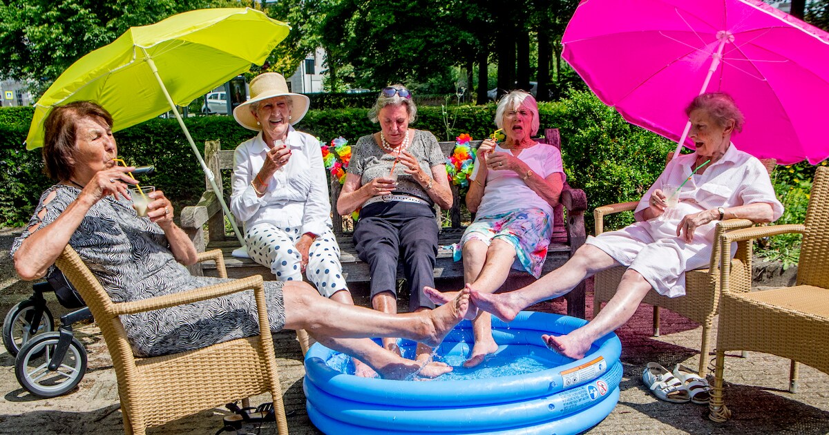 50 graden in Nederland? ‘Moeten rekening houden met extreme ...