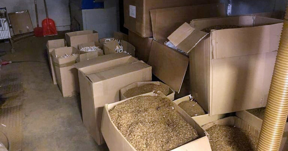 Anonieme tip leidt naar illegale productie van waterpijptabak en 420.000 sigaretten