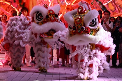 Niet in uniform, maar in leeuwenpak: Thaise agenten doen traditionele dans en pakken zo verdachte op