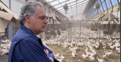 Documentaire: Limburgse pluimveehouder eet zelf plantaardig en twijfelt aan eigen veehouderij