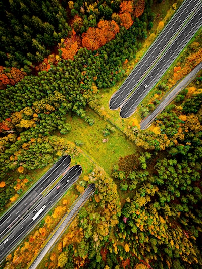 Roestend ecoduct over A50 aangepakt: snelweg tussen Apeldoorn en Arnhem gaat vier weekenden dicht