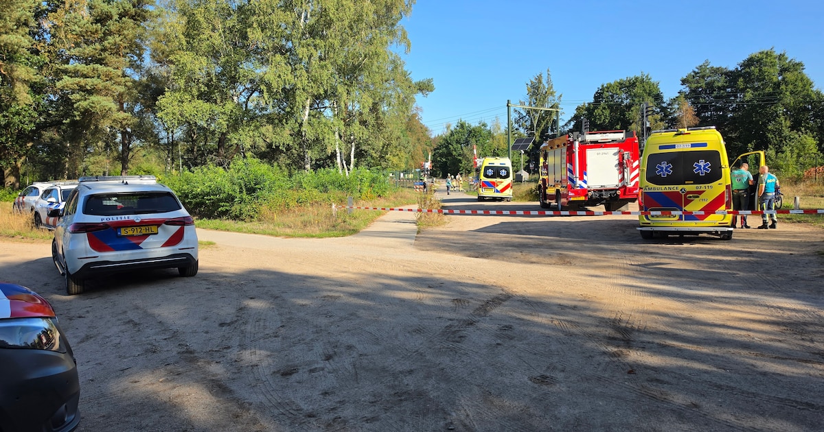 Na urenlange stremming weer treinen tussen Arnhem en Utrecht