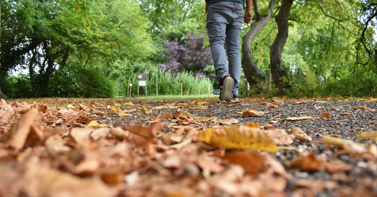 Leuke dingen doen tijdens de herfstvakantie? Dit is de weersverwachting in Doetinchem