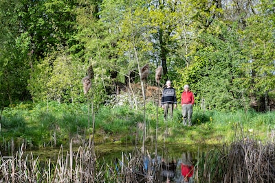 Dag van het Open Erf: maïsakker in Randwijk werd bloeiende tuin