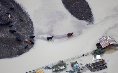Natuurgeweld teistert westkust VS: tienduizenden mensen geëvacueerd door overstromingen